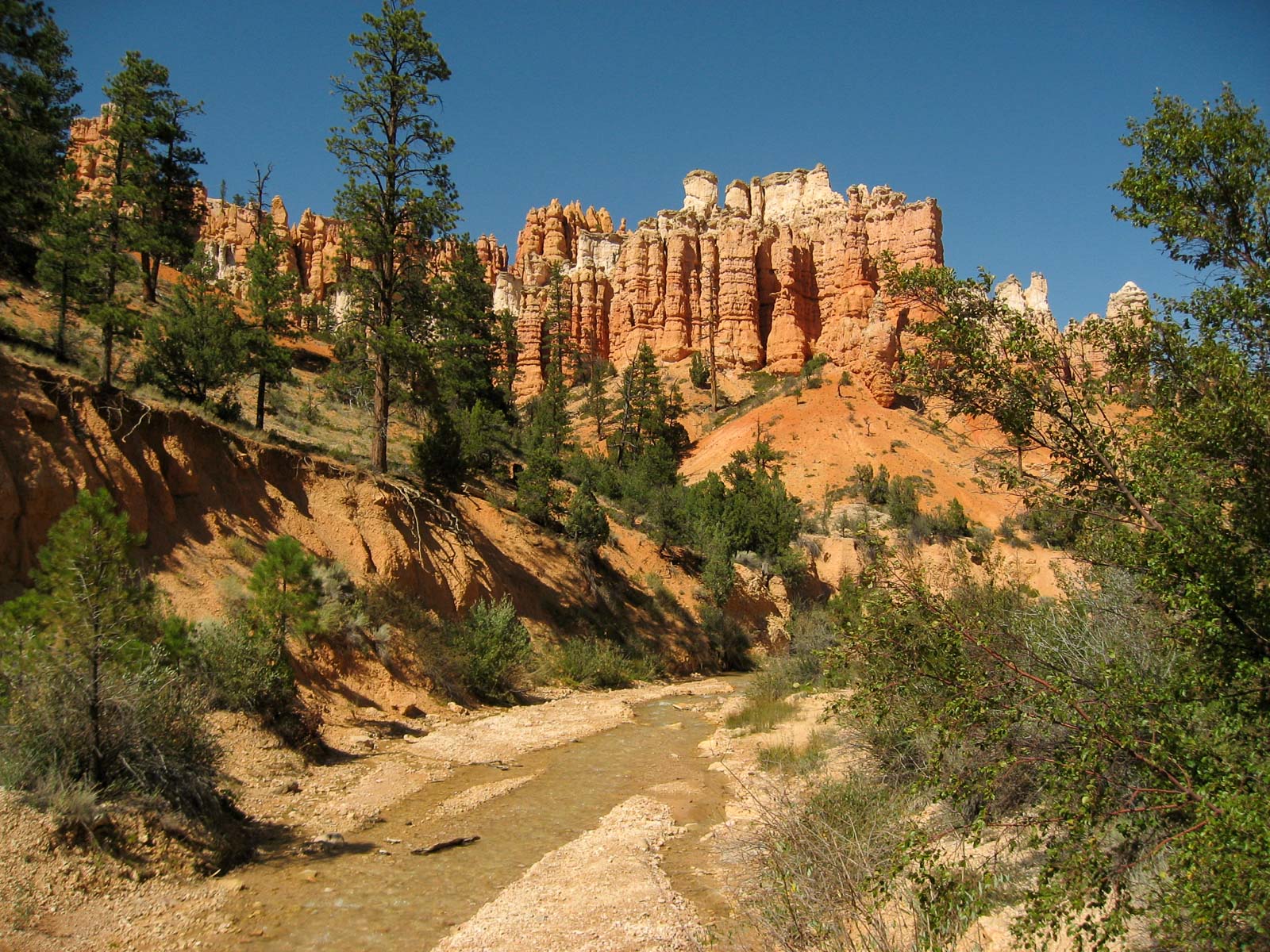 17 USA 2008 fabien et leslie 1566